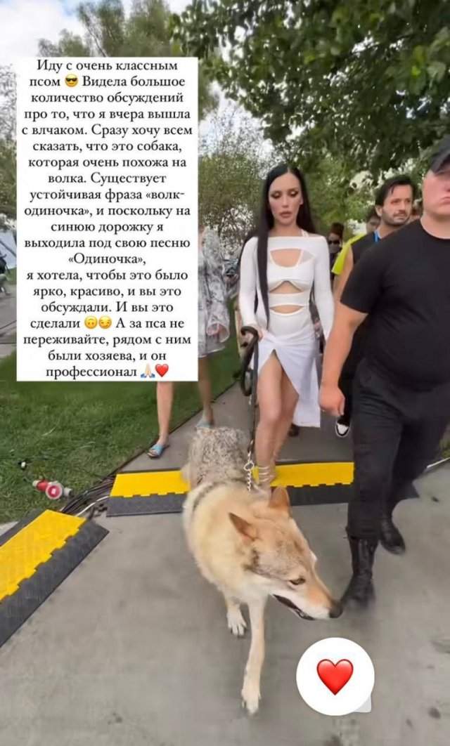 Ольга Серябкина оправдалась за выход с волком - оказывается, это был не волк