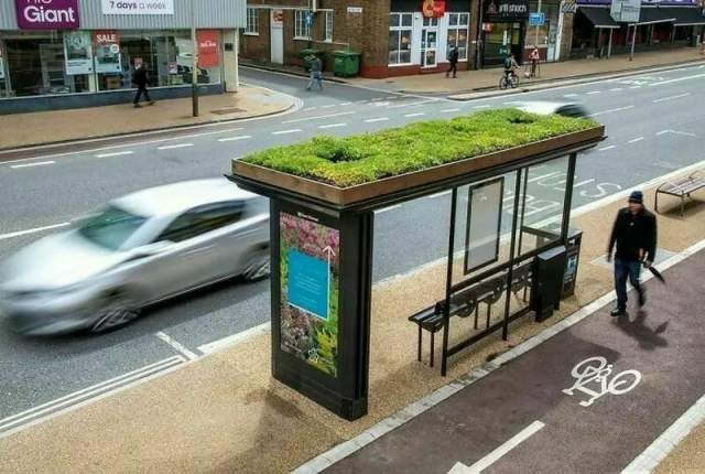 Автобусные остановки британского города Лестер, созданные для пчел