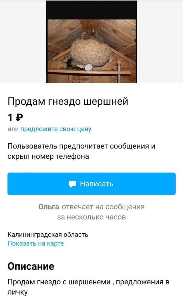 Самые безумные вещи, которые продают на &quot;Авито&quot;