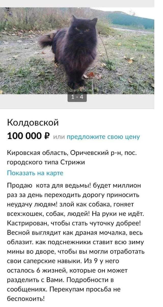 Самые безумные вещи, которые продают на &quot;Авито&quot;