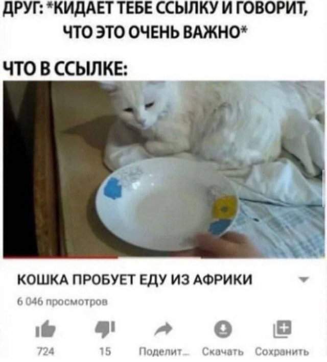 Лучшие шутки и мемы - 08.08.2023 Лучшие шутки и мемы - 08.08.2023