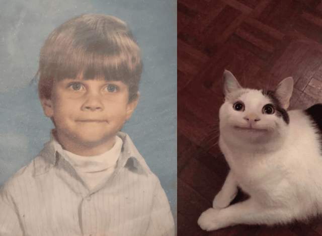 Моя племянница нашла моё старое фото и спросила, почему у меня лицо, как у кота из мема