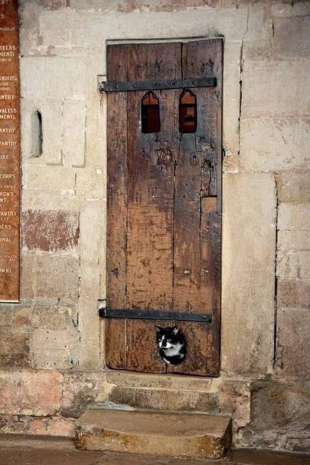 Эта дверь 14-го века в Эксетерском соборе, Великобритания, считается самой старой существующей кошачьей дверью