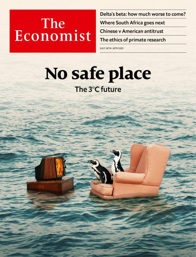 The Economist и пингвины