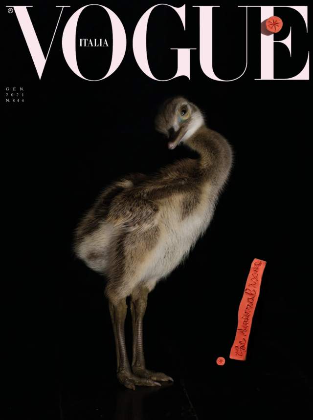 Итальянский Vogue и животные
