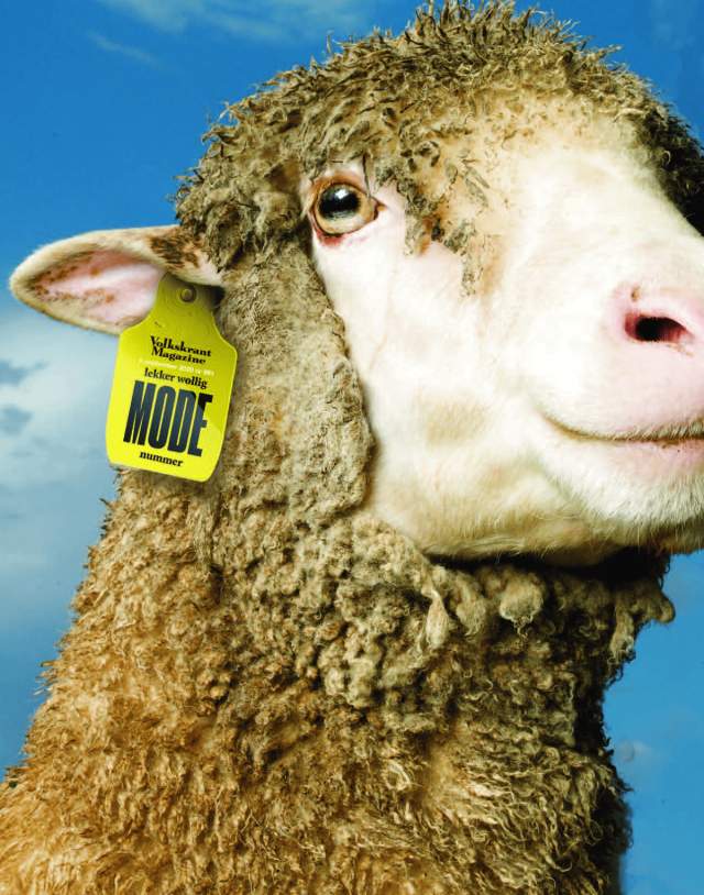 Volkskrant Magazine и овца