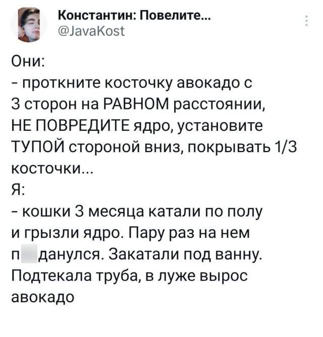 Подборка забавных твитов обо всем