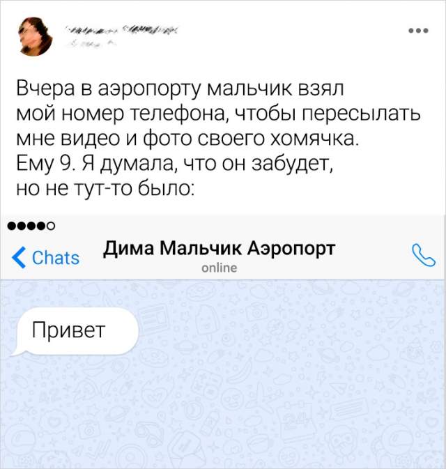 Подборка забавных твитов