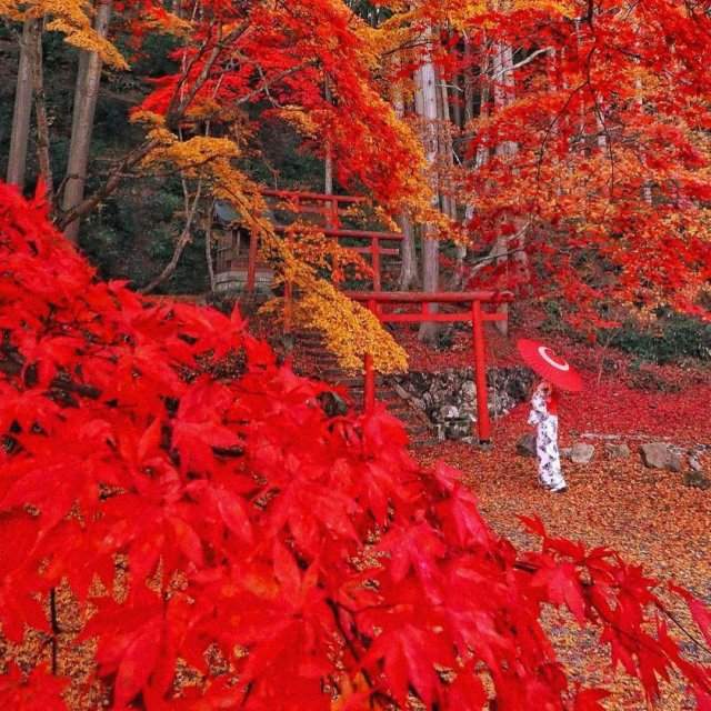 Как выглядит осень в Японии
