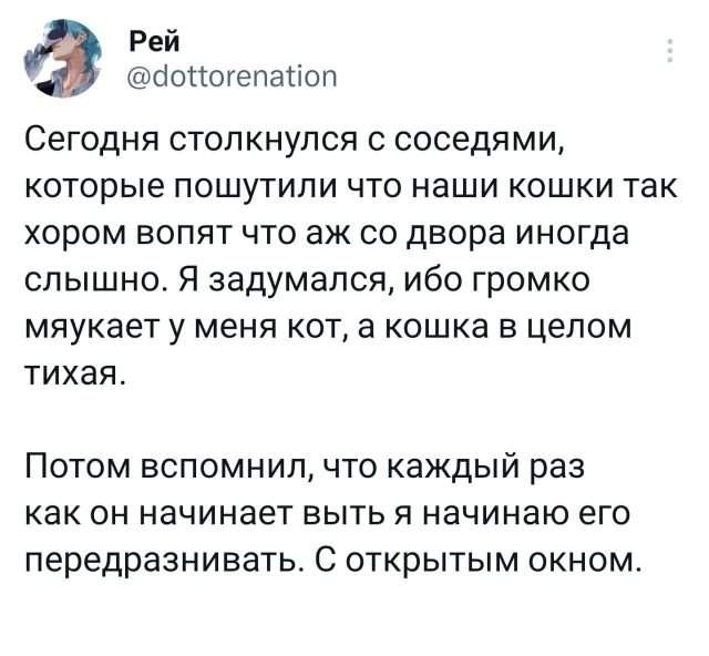 Подборка забавных твитов обо всем