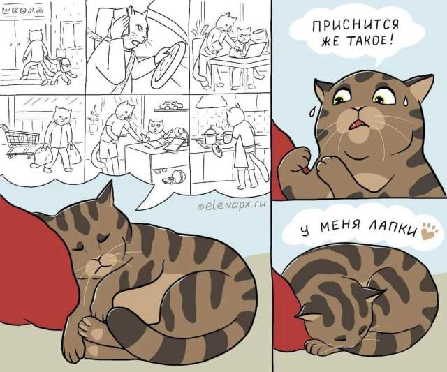Забавный комикс о пухлом котике, которому ничто человеческое не чуждо