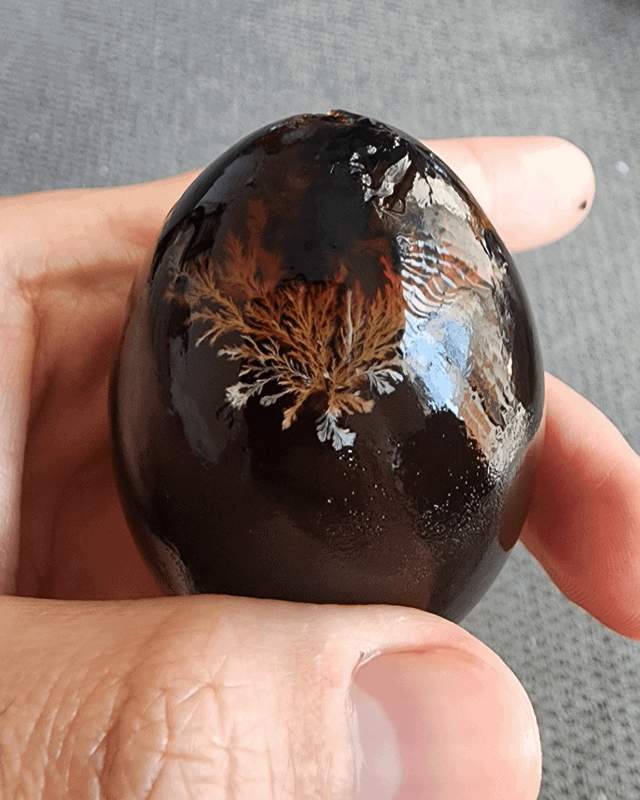 Яйцо, выдержанное в соляно-щелочном растворе в течение нескольких месяцев