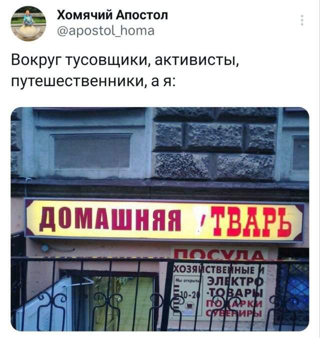 Подборка забавных твитов обо всем