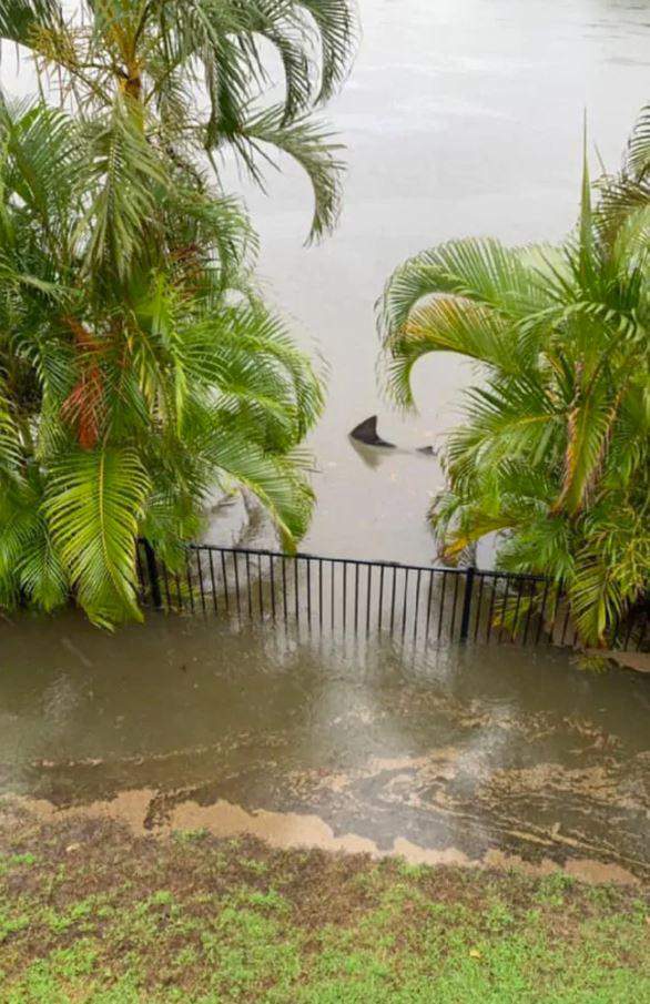 Типичное наводнение в Австралии