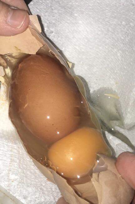 Одна из наших кур снесла огромное яйцо, внутри которого оказалось ещё одно яйцо
