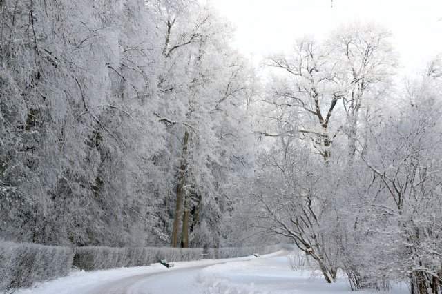 Снежно и красиво в музее-заповеднике Павловск