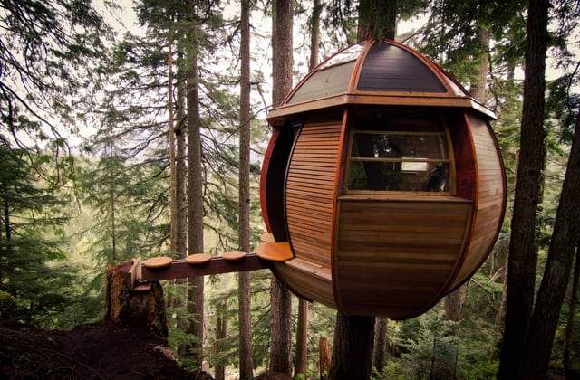 Уникальный крошечный дом на дереве, Канада