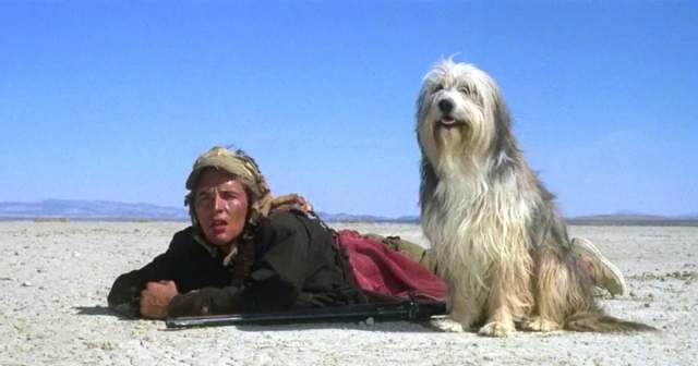 Парень и его пёс (1974)