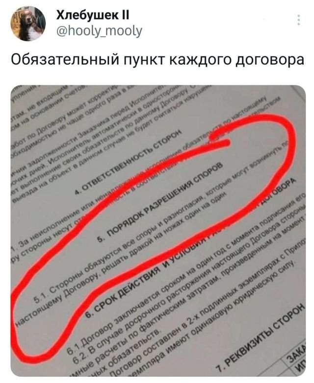 Подборка забавных твитов обо всем Подборка забавных твитов обо всем