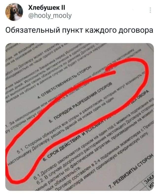 Подборка забавных твитов обо всем