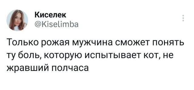 Подборка забавных твитов обо всем