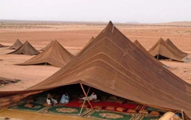 палатки в пустыне