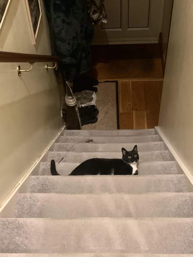 Лестница вверх или вниз?