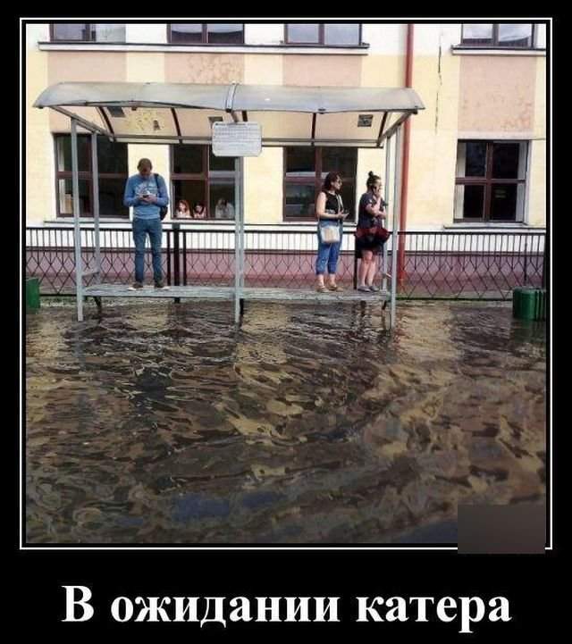 новые демотиваторы