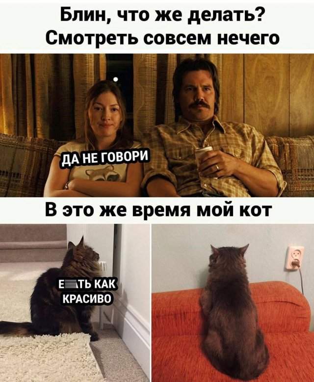 скачать мемы