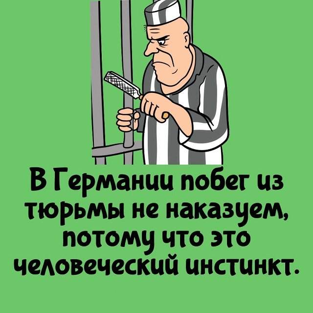 Интересные факты на все случаи жизни