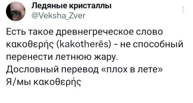 Подборка забавных твитов обо всем Подборка забавных твитов обо всем