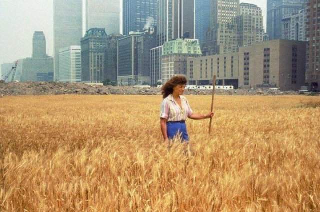 Раньше в сердце Манхэттена было поле пшеницы. 1982 год.