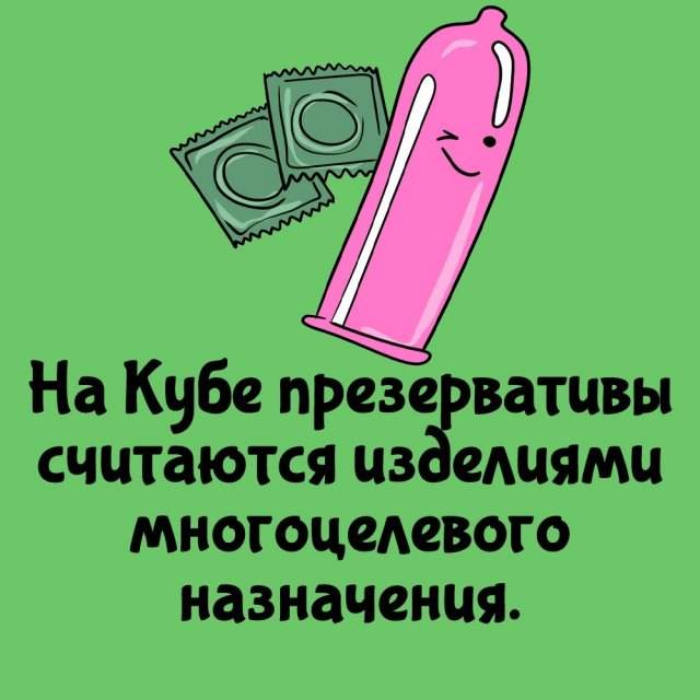 Интересные факты на все случаи жизни