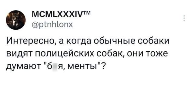 Подборка забавных твитов обо всем