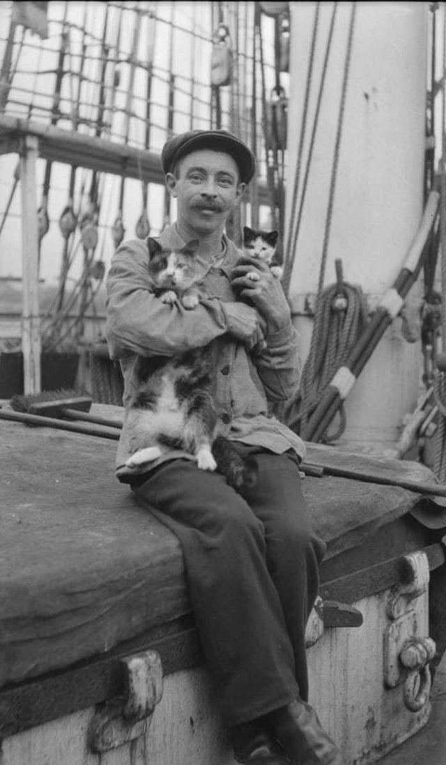 1910. США. Моряк фотографируется со своими кошками, которые всегда идут в плаванье вместе с ним