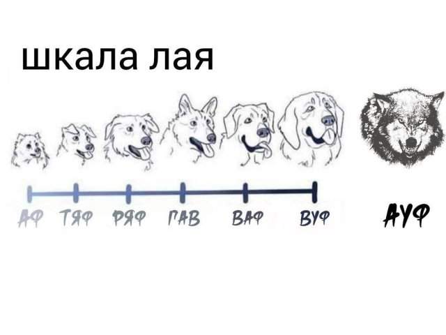 Лучшие картинки и рисунки из Сети - 21.06.2024