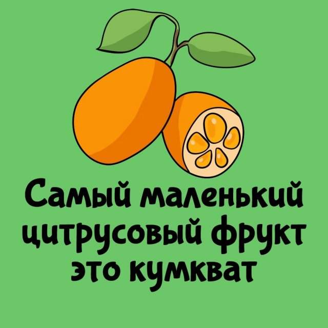 Интересные факты на все случаи жизни