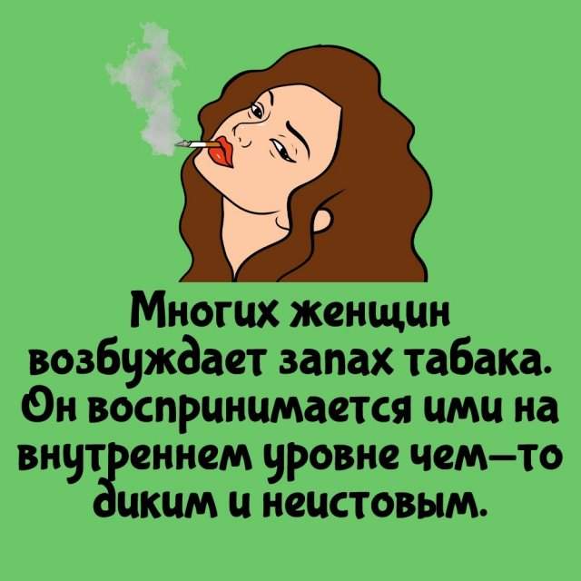 Интересные факты на все случаи жизни