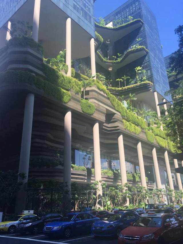 Вертикальное озеленение в отеле в Сингапуре