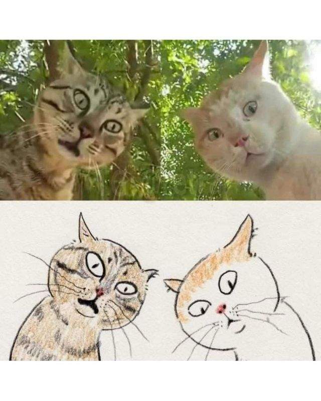 картины с котами