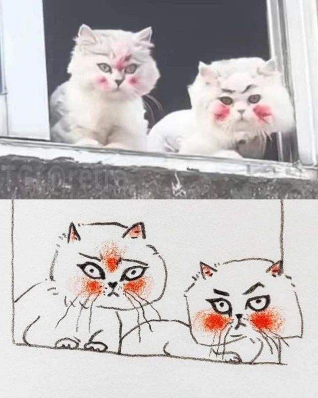 картины с котами
