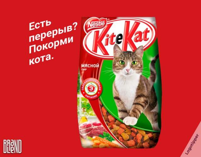 Котики оценят