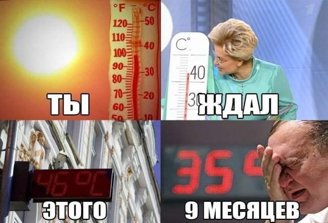 Шутки и мемы про жару 2024 года