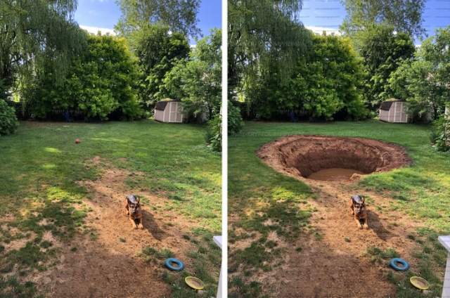 «Жена уехала на выходные. Хочется послать ей сумасшедшую фотографию, чтобы напугать ее»