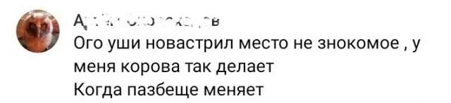 Подборка забавных опечаток