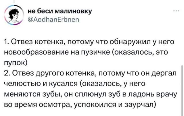 Тупые причины, по которым люди возили животных в ветеринарные клиники