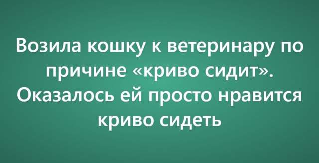 Пользователи рассказали о своих самых нелепых поездках к ветеринару