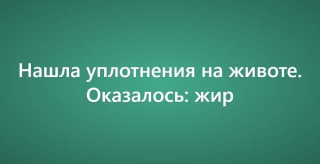 Пользователи рассказали о своих самых нелепых поездках к ветеринару