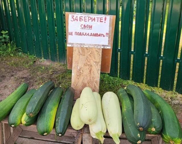 Подборка забавных объявлений и вывесок