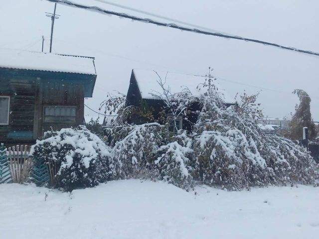 Первый снег выпал на юге Красноярского края